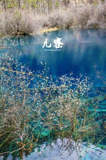 新倩女幽魂